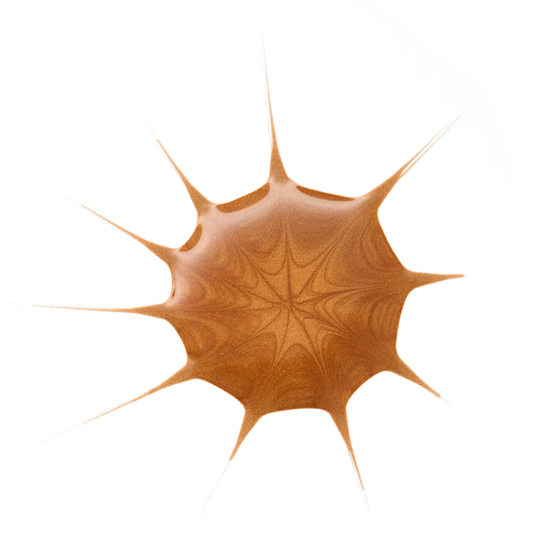 DROP OF sunshine BRONZING DROPS - Image 5