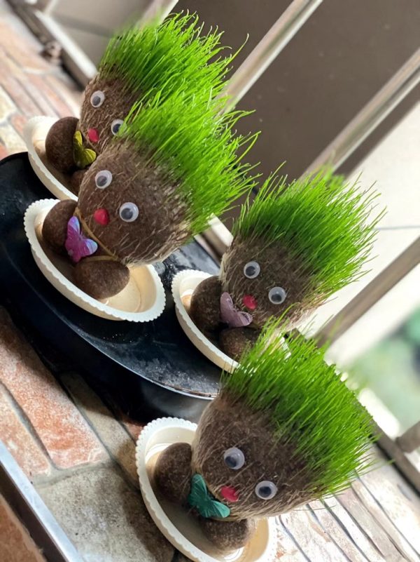 Pani Greenie - podlewaj i obserwuj, jak rosną jej włosy! - Image 6