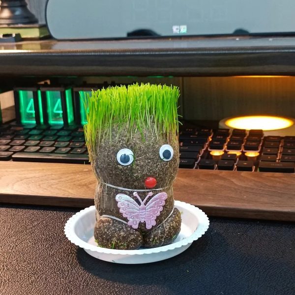 Pani Greenie - podlewaj i obserwuj, jak rosną jej włosy! - Image 7